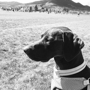 Meet your Posher, Jonah